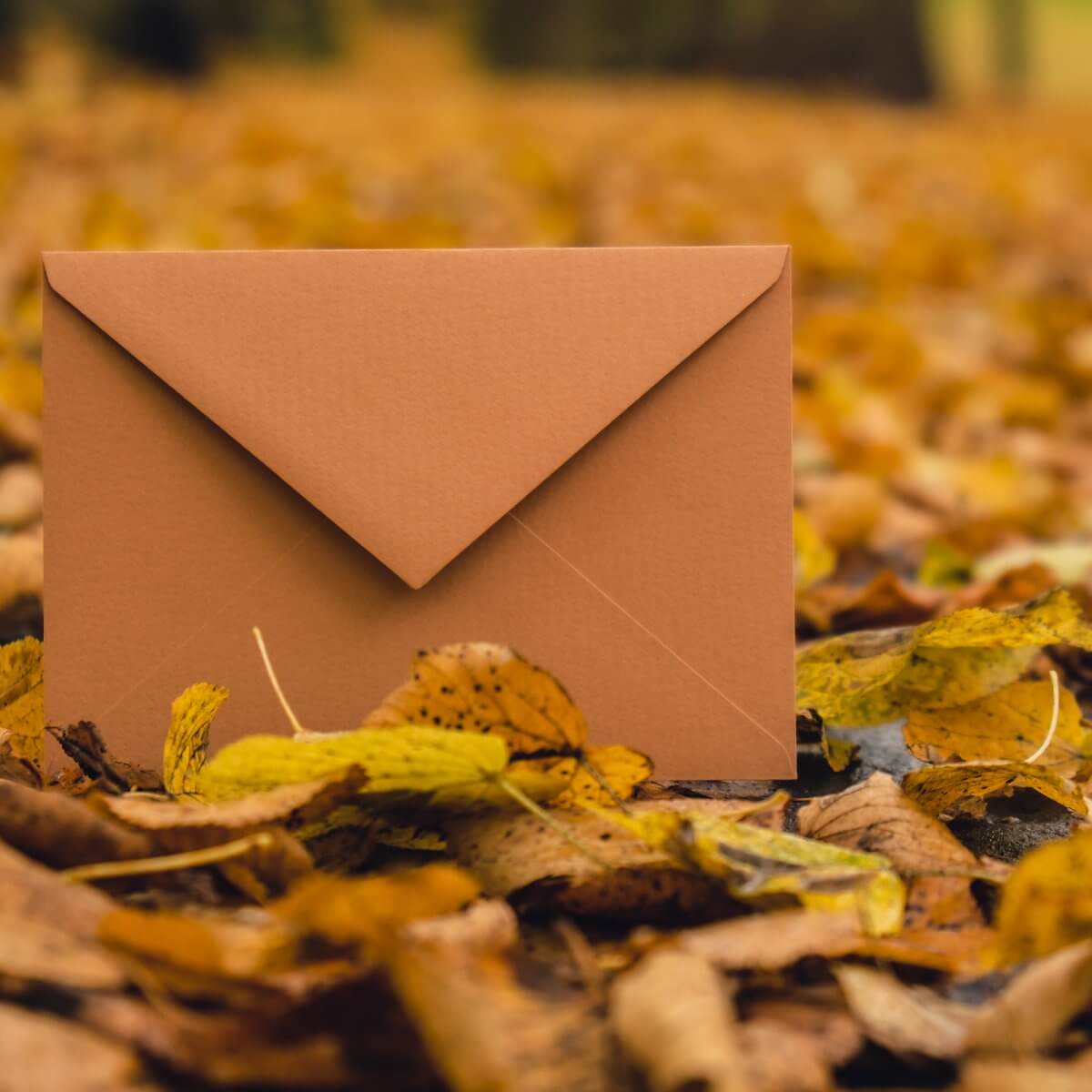 email envelope